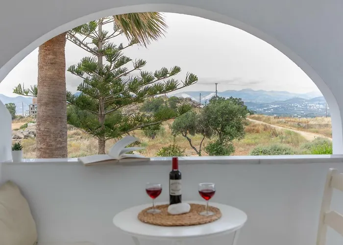 公寓式酒店 Thea Naxos 阿吉奥斯普罗科皮奥斯