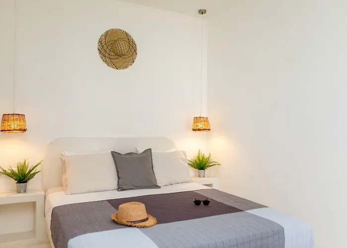 公寓式酒店 Thea Naxos 阿吉奥斯普罗科皮奥斯