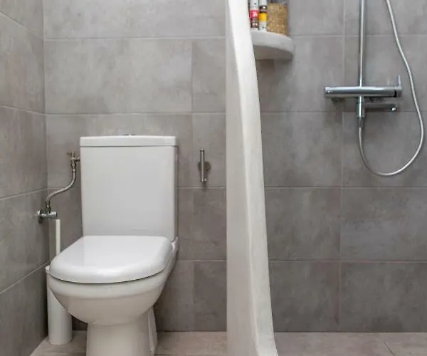 Thea Naxos 公寓式酒店 4*